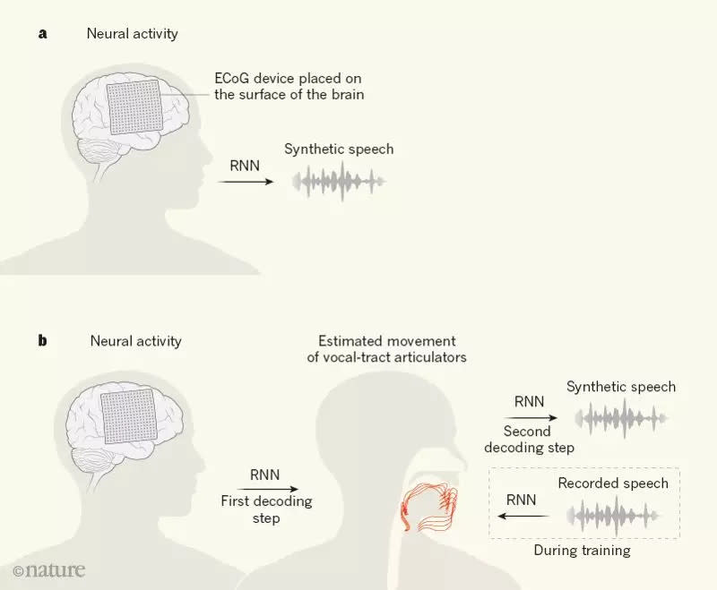 Nature重磅：華裔科學家成功解碼腦電波，AI直接從大腦中合成語音