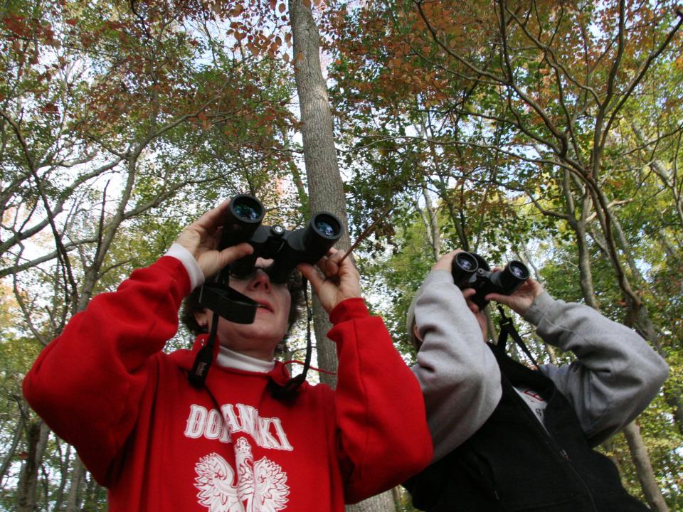 fall bird watching hiking