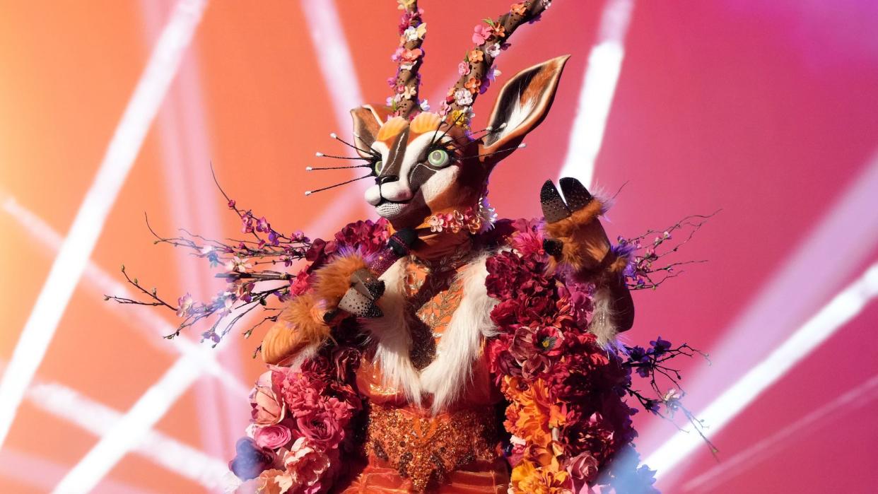  Gazelle in The Masked Singer season 10. 