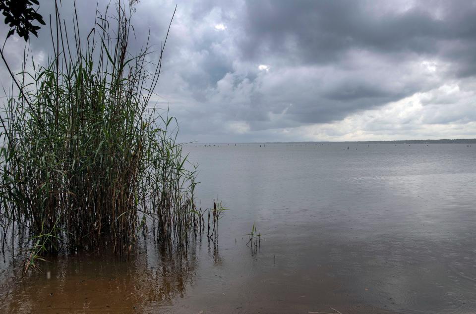 The scenic beauty of Perdido Key hides a danger lurking in the water on Wednesday, June 3, 2020. Mobile Baykeeper has issued a health warning for Perdido Bay after the presence of E. coli, and Enterococcus found in water samples.