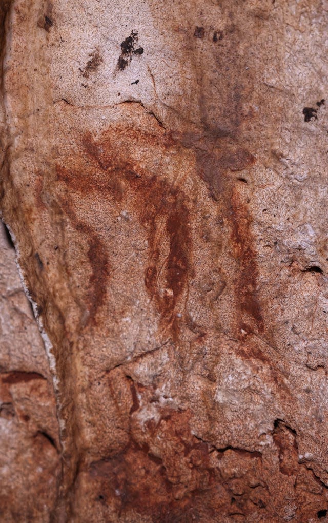 Two hinds painted in Cova Dones