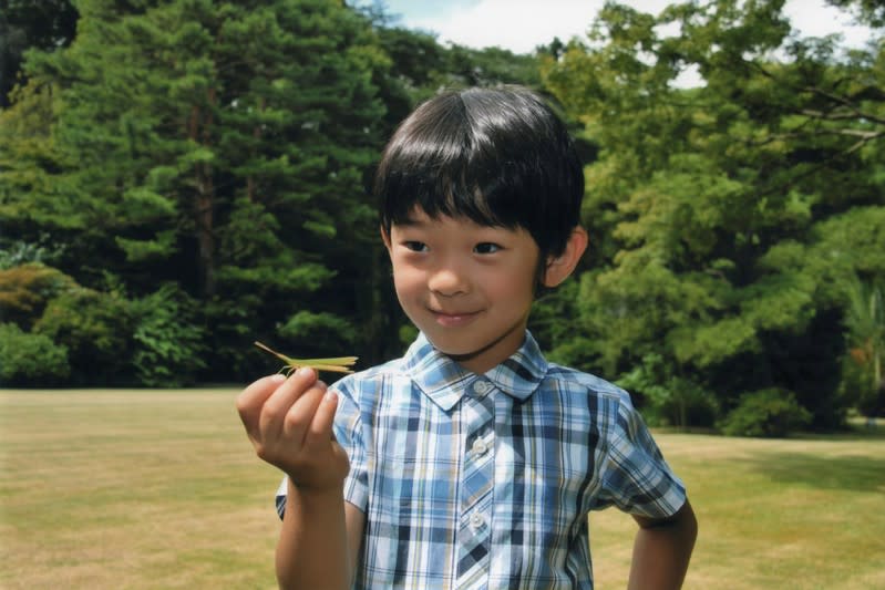 FILE PHOTO: Japan's Prince Hisahito holds a grasshopper in the Akasaka imperial estate in Tokyo in this handout photo by the Imperial Household Agency of Japan