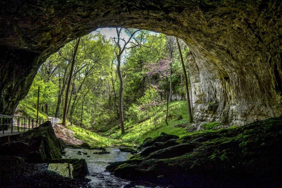 A view out of the massive opening of the Smallin Cave.