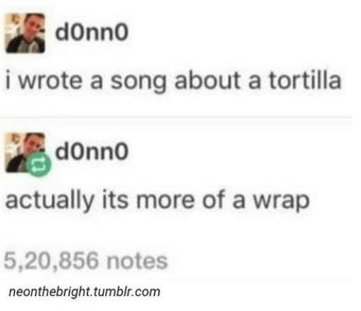 person saying i wrote a song about a tortilla actually its a wrap