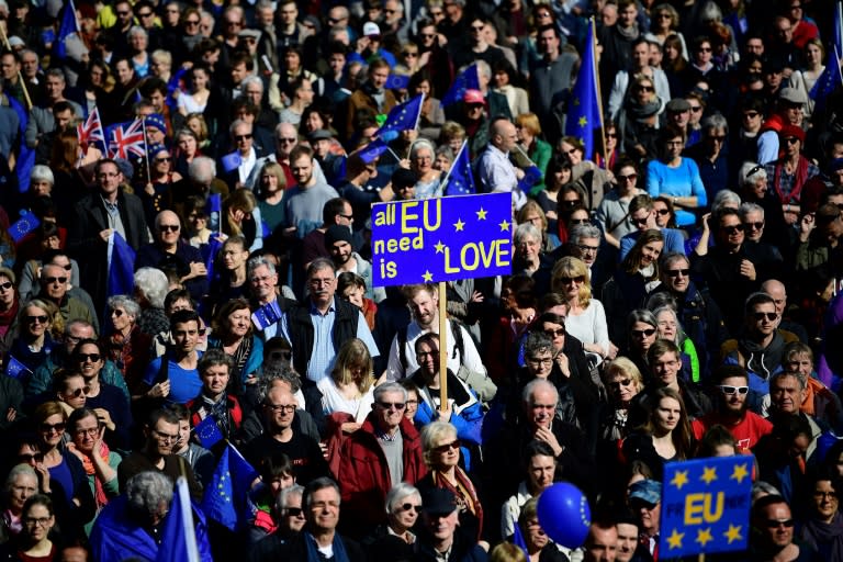 People attend a pro-Europe demonstration in Berlin as a growing number of Germans fed up with eurosceptics hogging the headlines march to express their support for the EU