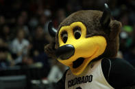 ALBUQUERQUE, NM - MARCH 17: Chip, the Colorado Buffaloes mascot, performs in the first half against the Baylor Bears during the third round of the 2012 NCAA Men's Basketball Tournament at The Pit on March 17, 2012 in Albuquerque, New Mexico. (Photo by Ronald Martinez/Getty Images)