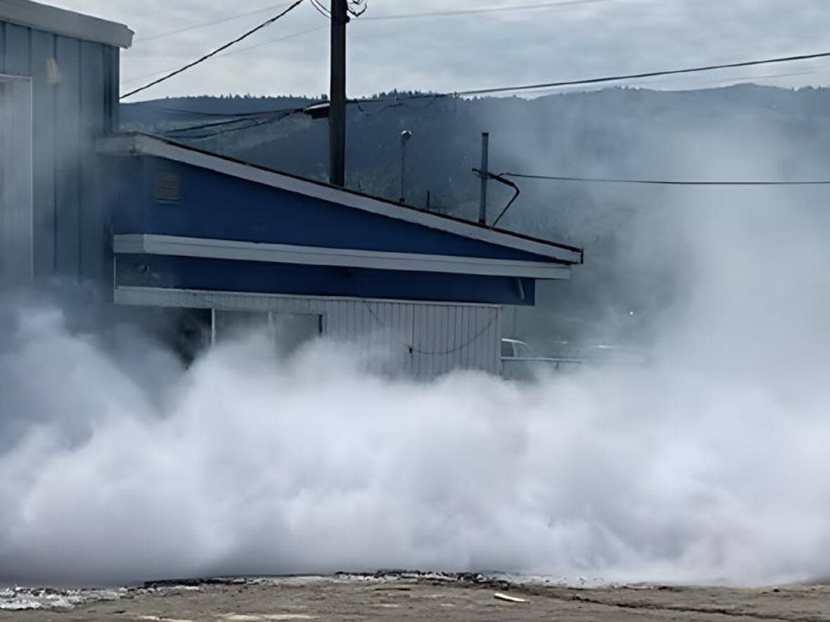 An ammonia cloud is seen billowing out of Arctic Ice building from the west open shutter door at 10:18 a.m. on May 26, 2022. (Supplied by Technical Safety B.C. - image credit)