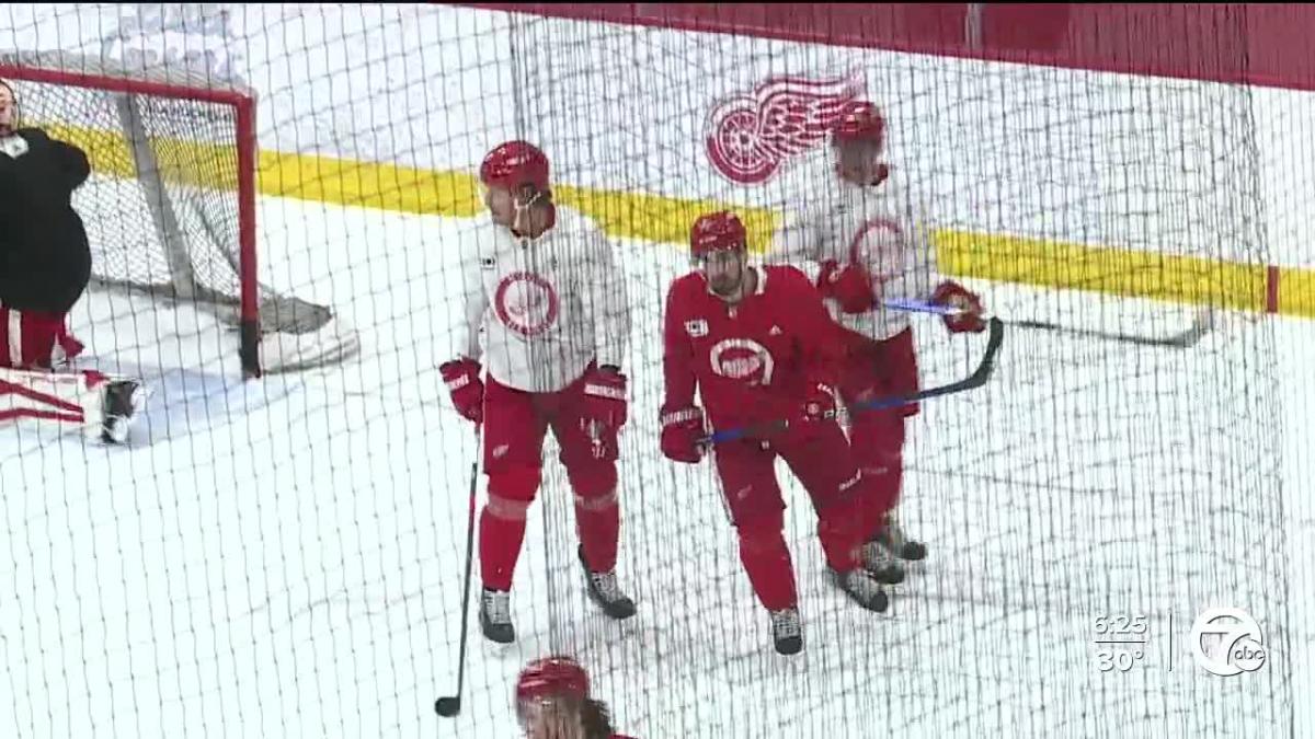 Analysis: Current State of the Red Wings Roster, 2.0