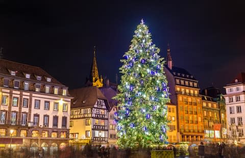 Strasbourg's tree: not too shabby - Credit: istock