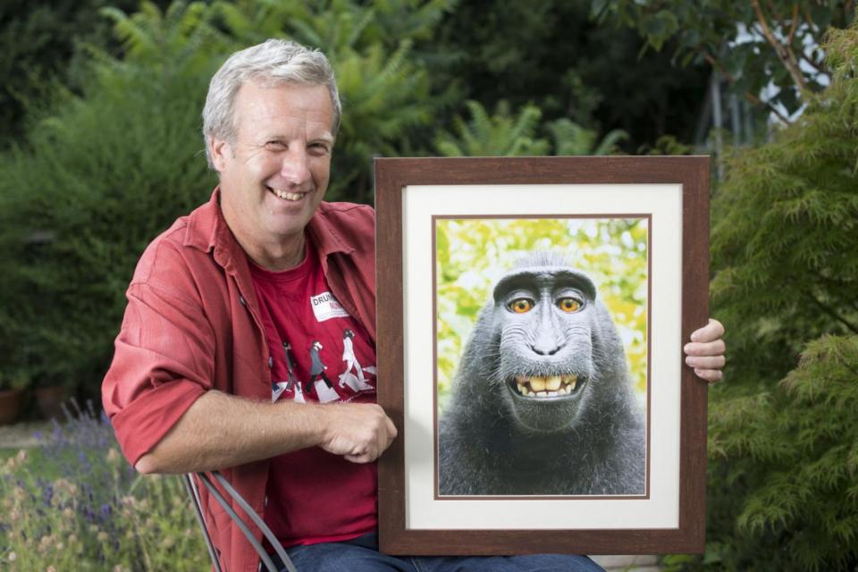 The monkey grabbed Mr Slater's camera during a 2011 trip (Mark Large/Daily Mail)