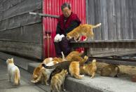 Cats surround a local woman on Aoshima Island in Ehime prefecture in southern Japan February 25, 2015. An army of cats rules the remote island in southern Japan, curling up in abandoned houses or strutting about in a fishing village that is overrun with felines outnumbering humans six to one. (REUTERS/Thomas Peter)