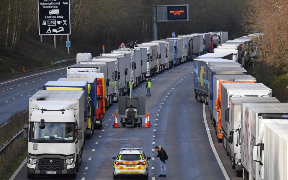 The worrying scenes at Dover were seen as a warning for what a no-deal Brexit cold look like - JUSTIN TALLIS /AFP