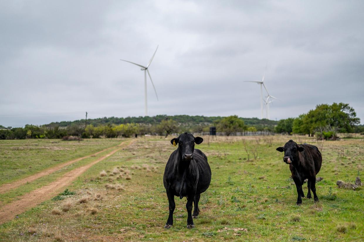 <p>A ranch in Texas where several wind turbines have been built. Cattle farms are a major source of methane </p> (AFP via Getty Images)