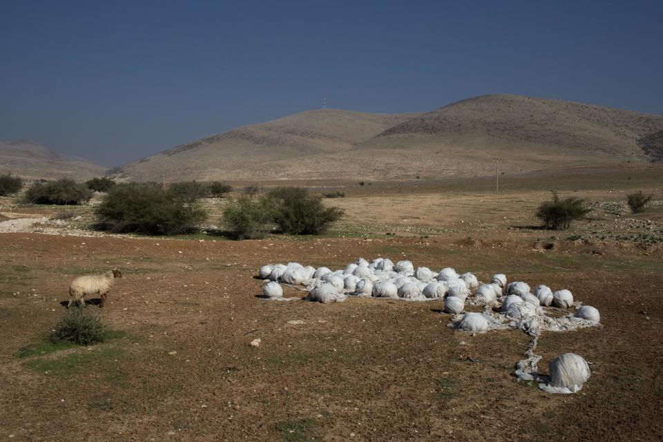 A sheep walks by a pile of rolled up nylon used for a hothouse near the settlement of Patzael in the West Bank's Jordan Valley, along the border with Jordan, Thursday, Jan. 2, 2014. A senior Israeli Cabinet minister and more than a dozen hawkish legislators poured cement at a construction site in a settlement in the West Bank's Jordan Valley on Thursday, in what they said was a message to visiting U.S. Secretary of State John Kerry that Israel will never relinquish the strategic area. (AP Photo/Oded Balilty)