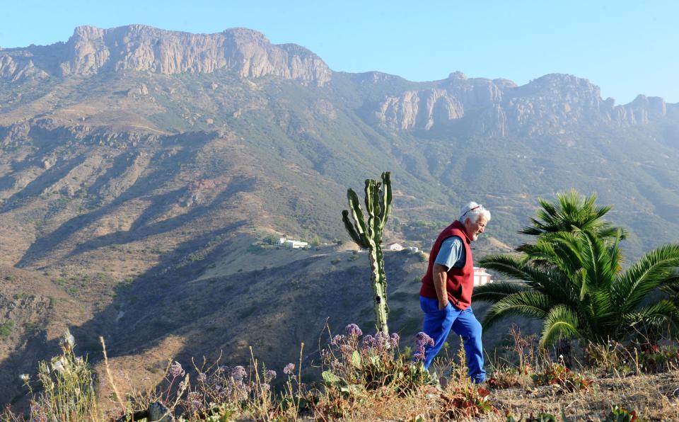 Rick Mecagni walks through his backyard in the Santa Monica Mountains.