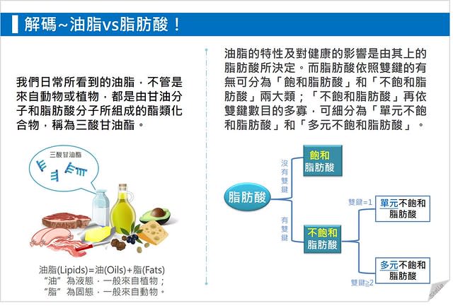 油脂 v.s. 脂肪酸