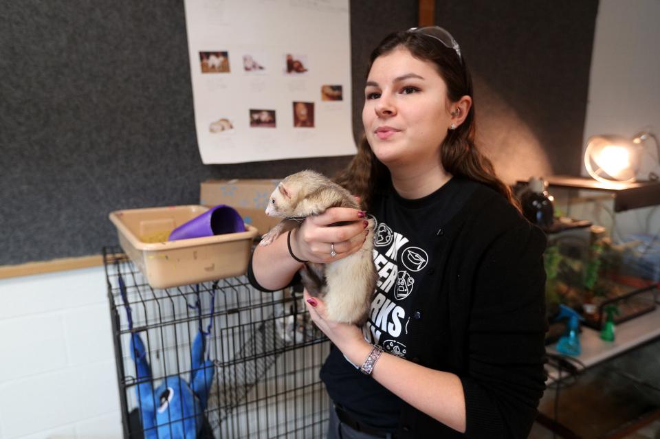 Marion Jr/Sr High School agriculture teacher Lily-Anne Lachnor, holds a ferret, one of the many animals that are part of her curriculum. Possible budget cuts may put some classes in jeopardy.