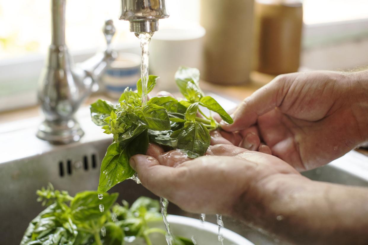 person washing basil under running water food in kitchen