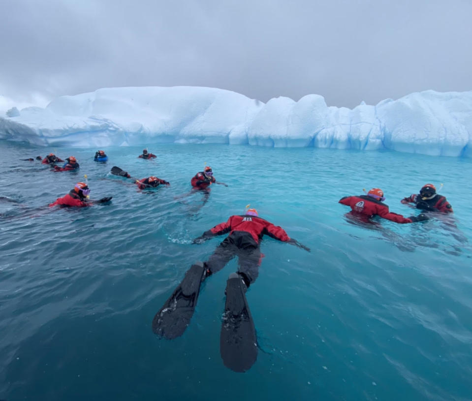 People snorkel in the water in Antarctica