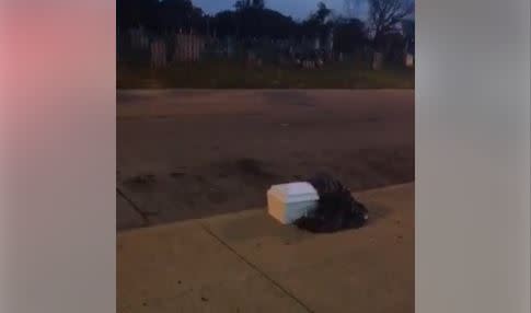 Child-size casket found on the 3100 block of West Clearfield Street in North Philadelphia. (CHRIS JAMES / Facebook)
