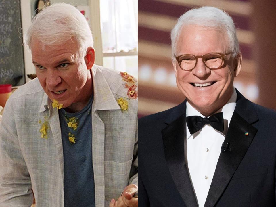 steve martin cheaper by the dozen