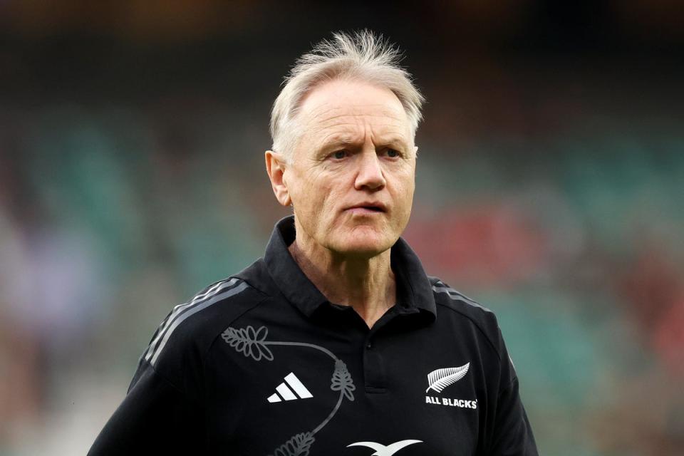 Joe Schmidt is now in the All Blacks camp (Getty Images)