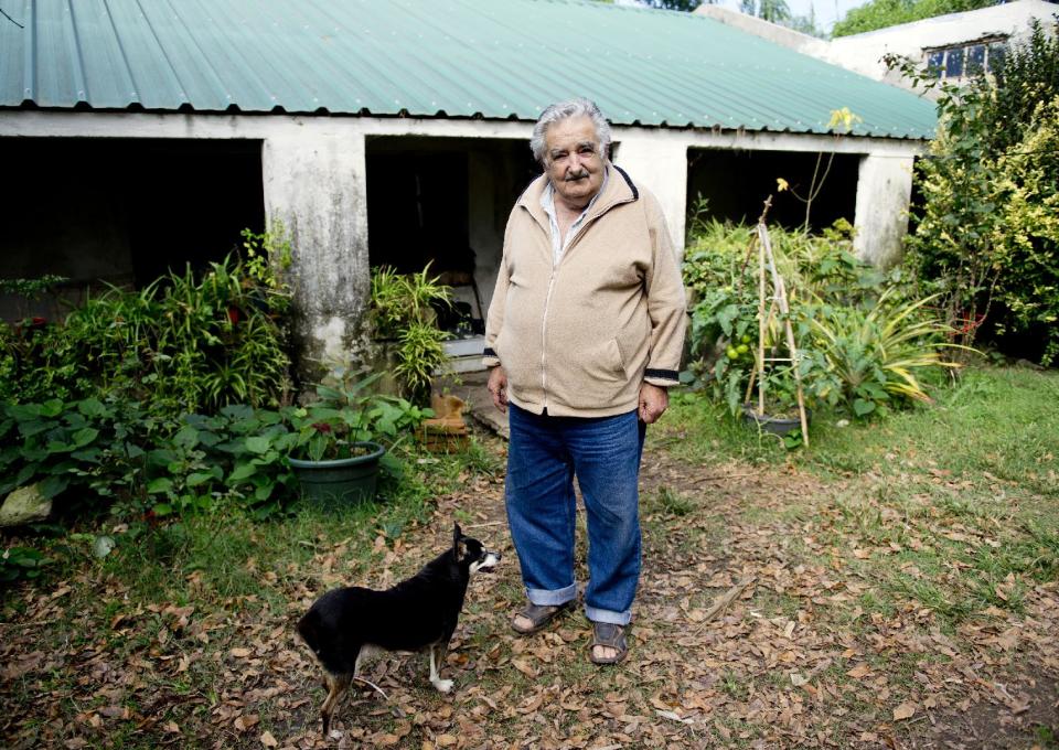 Uruguay's President Jose Mujica poses for a photo with his dog, Manuela, at his home on the outskirts of Montevideo, Uruguay, Friday, May 2, 2014. Mujica says the country's legal marijuana market will be much less permissive with drug users. “We don’t go along with the idea that marijuana is benign, poetic and surrounded by virtues. No addiction is good,“ he said. In an exclusive Associated Press interview just before releasing his country’s long-awaited marijuana rules, the former leftist guerrilla predicted that many will call him an “old reactionary” once they see the fine print. (AP Photo/Matilde Campodonico)