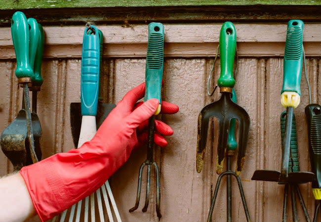 Person wearing garden gloves reaching for a weeding tool among other hanging gardening tools