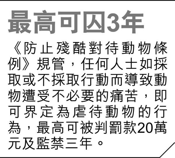 恐怖狗場困35犬 地下糞便4吋厚