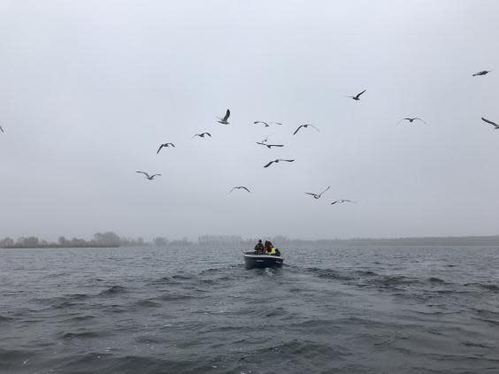 To lure the eagles down, fishermen first encourage clouds of seagulls by throwing fish out of the boat, which causes the curious raptors to circle above (Inigo Weston)