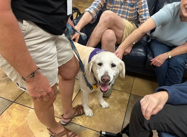 Suzie-Q, a white Labrador retriever with Bayou Buddies Pet Therapy receives pets from residents at Southside Gardens Senior Living.