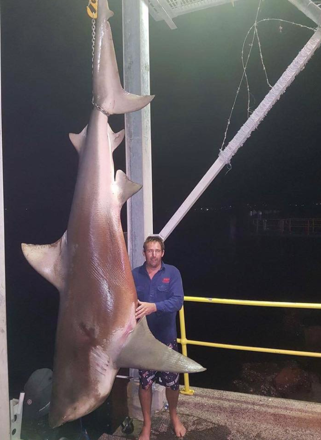 The photo has sparked debate about game fishing. Photo: Facebook.