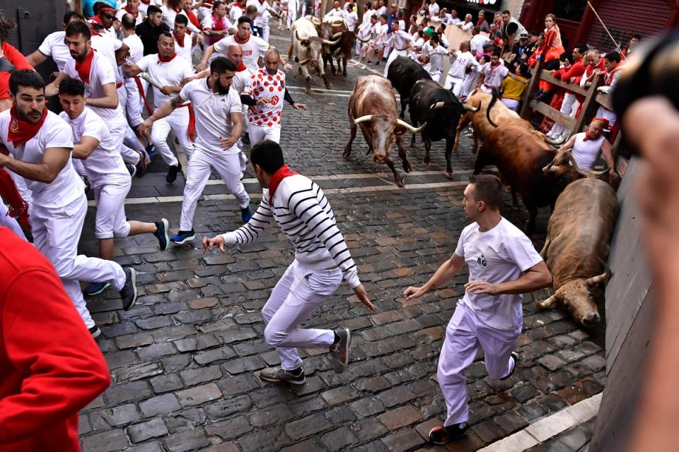 Sanfermine, Pamplona (AP)