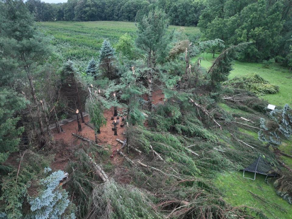 Drone footage shows trees downed Thursday, Aug. 24, on the Lang family property on Judd Road in Fowlerville.