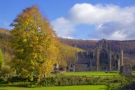 <p>If you live in wales, Tintern Abbey in autumn is unmissable. This gothic masterpiece is perfect for history lovers to explore, thanks to its 500-year-old architecture. </p><p><a class="link " href="https://cadw.gov.wales/visit/places-to-visit/tintern-abbey" rel="nofollow noopener" target="_blank" data-ylk="slk:BOOK NOW;elm:context_link;itc:0">BOOK NOW</a></p>