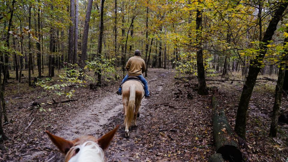 Beavers Bend State Park is one of several in Oklahoma that offer horseback riding.