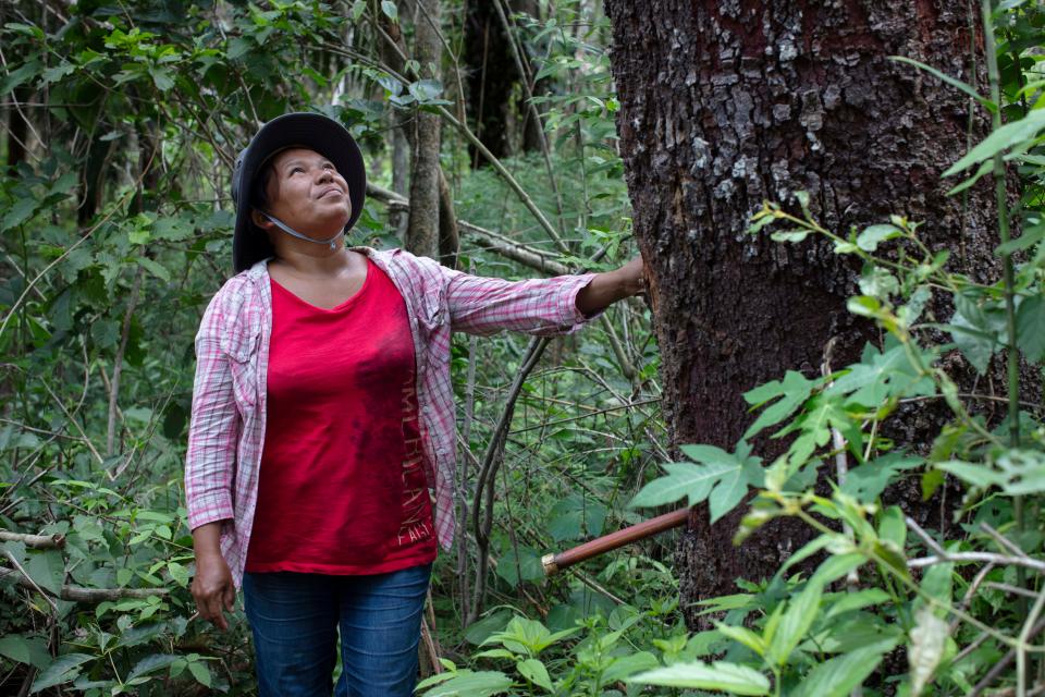 Polonia Supepi Cuasace is president of the Women Producer’s Association, Rio Blanco, Bolivian Amazon (Marizilda Cruppe, WWF-UK)