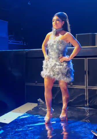 Teresa Giudice & Her Daughters' Drake Concert Outfits: Photos