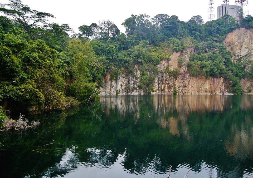 property-near-popular-parks-in-singapore-bukit-timah-nature-reserve (2)