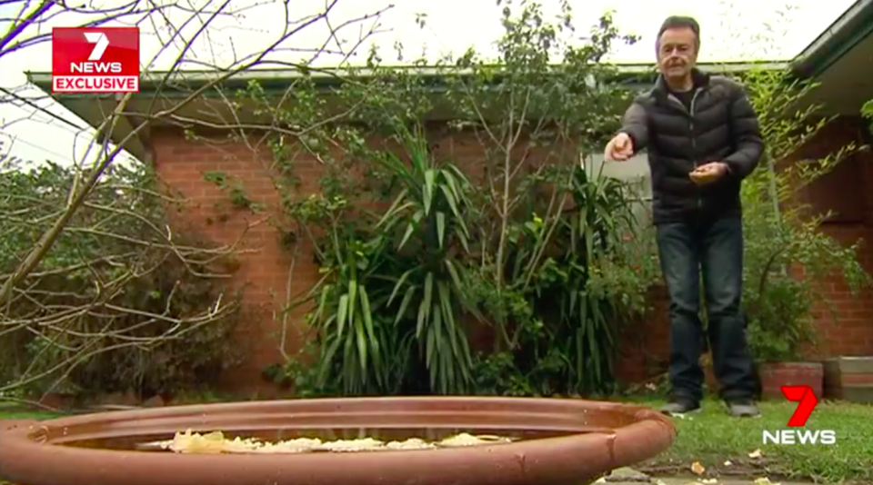 Highett resident Brad Martell has been feeding birds for 20 years at his Melbourne home.