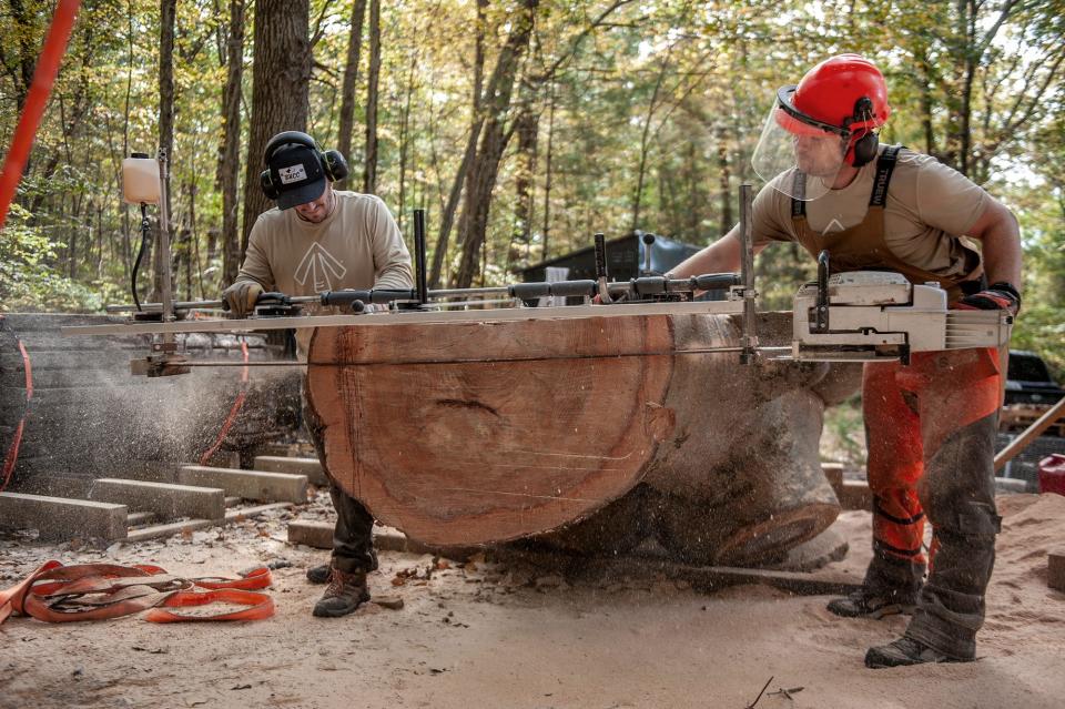 Kevin Merle, right, of New England Urban Lumber, and Matt Cuneo cut a 4-by-10-foot, 850-pound slab of beech tree with an Alaskan chainsaw mill, Oct. 9, 2023. The slabs will be used to make countertops and dining room tables.