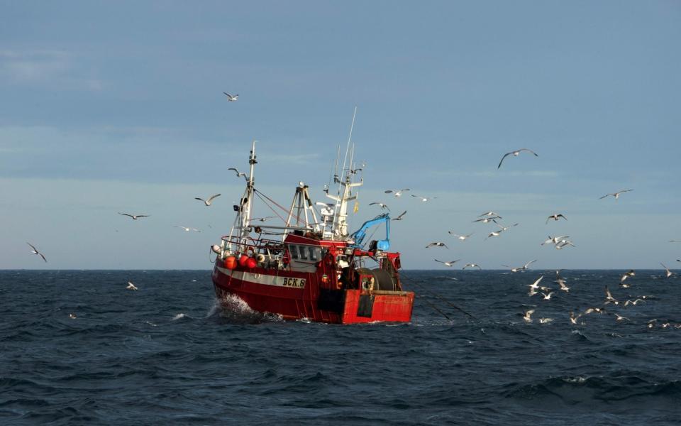 Fishing has been described as a "litmus test" for Brexit.  - AFP