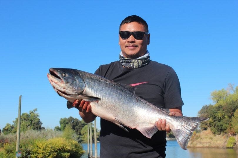Salmon like this beautiful, bright Sacramento River Chinook caught below Discovery Park by Larry Mabalot have become increasingly scarce in the catches over the past couple of years.