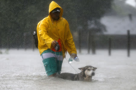 A resident and his dog wade through flood waters from Tropical Storm Harvey in Beaumont Place, Houston, Texas, U.S., on August 28, 2017. REUTERS/Jonathan Bachman