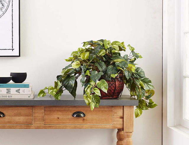 Moss Faux Plants You'll Love in 2024 - Wayfair