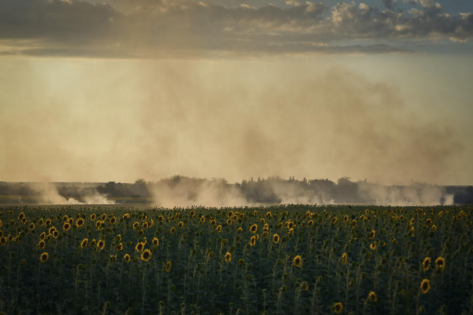 A smoke rises over sunflowers field on the frontline in Donetsk region, Ukraine, Wednesday, Aug. 9, 2023. (AP Photo/Libkos)
