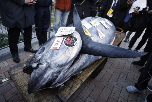 Tokyo's Top Tuna for the New Year Sells for Nearly $800,000