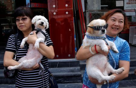 Animal activists hold a dog (R) which was rescued from a dog meat trader and a rescued stray dog, before their gathering against Yulin Dog Meat Festival in Beijing, China, June 10, 2016. REUTERS/Kim Kyung-Hoon