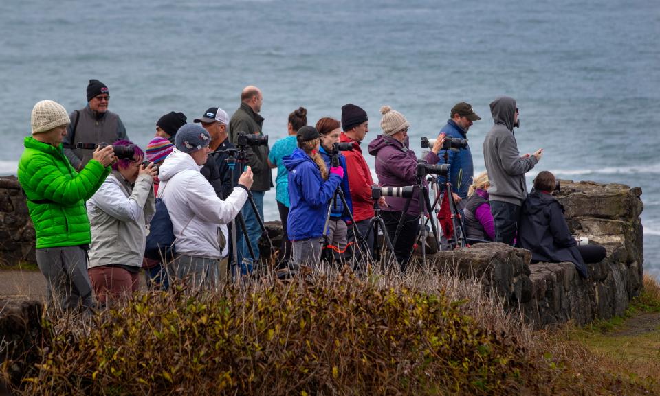 Photographers lined up shoulder to shoulder at an overlook at Shore Acres State Park during a Thanksgiving weekend King Tide event on the Oregon Coast.