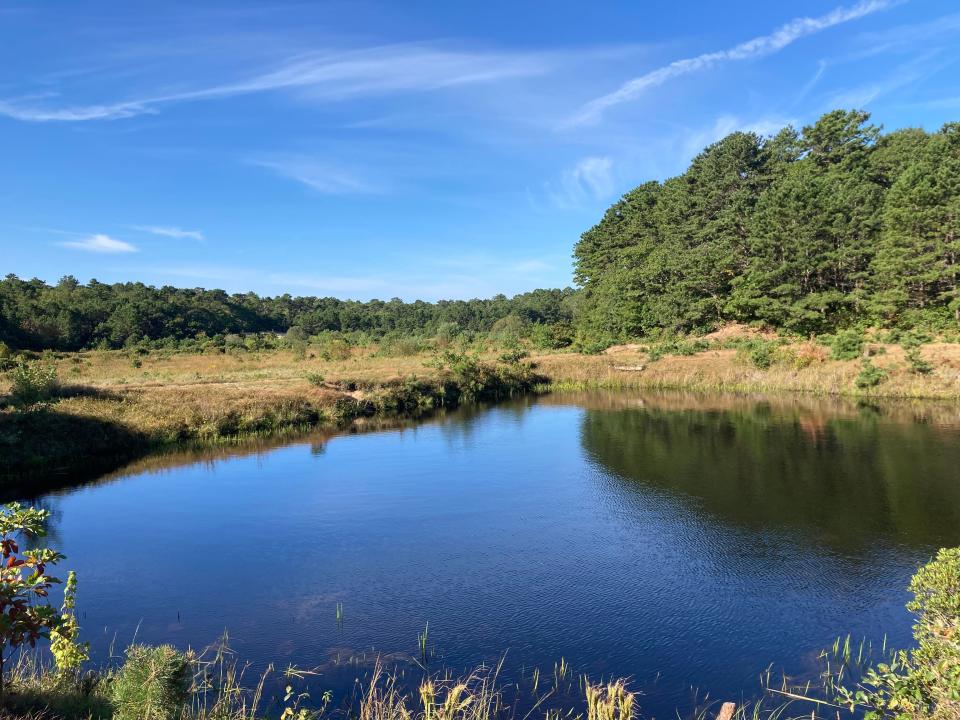A small pond at the Mothers Bog Aquifer Protection Area in Brewster.